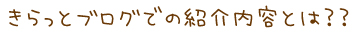 きらっとブログでの紹介内容とは
